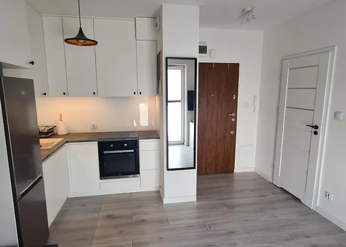 61 - - Nowy W Centrum Przy Ul 3 Maja 51a 公寓 谢德尔采