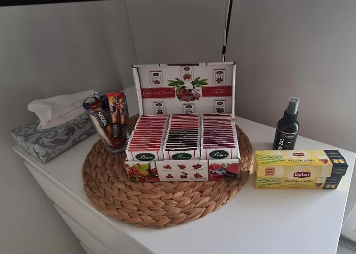 61 - - Nowy W Centrum Przy Ul 3 Maja 51a 谢德尔采